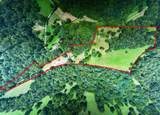 2210 Poarch Hollow Rd - Photo 2