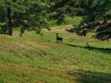 2210 Poarch Hollow Rd - Photo 5