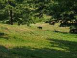 2210 Poarch Hollow Rd - Photo 6