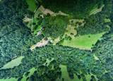 2210 Poarch Hollow Rd - Photo 51