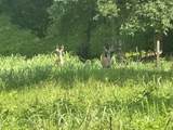 2210 Poarch Hollow Rd - Photo 7