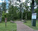 3176 Summertown Hwy - Photo 47