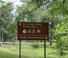 3176 Summertown Hwy - Photo 49