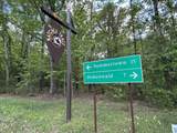 3176 Summertown Hwy - Photo 50