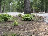 3176 Summertown Hwy - Photo 57