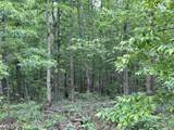 3176 Summertown Hwy - Photo 60