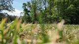 3176 Summertown Hwy - Photo 76