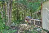 9759 Concord Pass - Photo 51