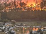 2315 Zion Rd - Photo 47