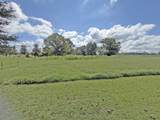 2900 Oak Grove Rd - Photo 1