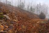 7538 Snake Hollow Rd - Photo 47