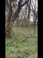 117 Faulkner Ln - Photo 4