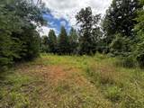 0 Orme Mountain Road - Photo 1