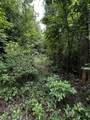0 Orme Mountain Road - Photo 11