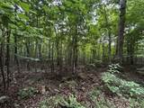 0 Orme Mountain Road - Photo 13