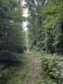 0 Orme Mountain Road - Photo 4