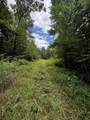 0 Orme Mountain Road - Photo 5