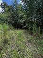 0 Orme Mountain Road - Photo 8