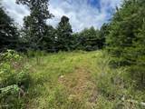0 Orme Mountain Road - Photo 9