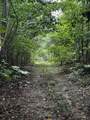 0 Orme Mountain Road - Photo 10