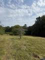 1756 Crazy Doe Rd - Photo 3