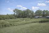 909 Wilkinson Ln - Photo 4