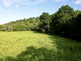 1875 New Hope Rd - Photo 93