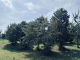 800 Sunset Circle - Photo 18