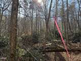 805 Bogard Creek Road - Photo 19