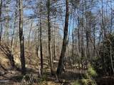 805 Bogard Creek Road - Photo 5