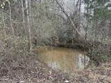 0 Off Allen Chapel Road - Photo 16