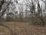 0 Off Allen Chapel Road - Photo 7