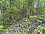 1115 Tranquility Hills Way - Photo 1