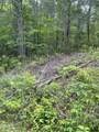 1115 Tranquility Hills Way - Photo 2