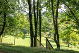 394 Young Hollow Rd - Photo 14