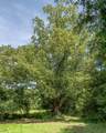 394 Young Hollow Rd - Photo 23