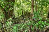 394 Young Hollow Rd - Photo 25
