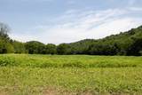 394 Young Hollow Rd - Photo 32