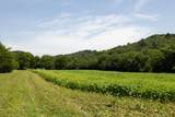 394 Young Hollow Rd - Photo 33