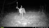 394 Young Hollow Rd - Photo 53