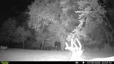 394 Young Hollow Rd - Photo 56