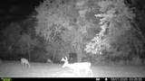 394 Young Hollow Rd - Photo 57