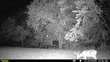 394 Young Hollow Rd - Photo 58