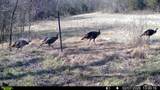 394 Young Hollow Rd - Photo 59