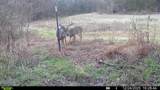 394 Young Hollow Rd - Photo 60