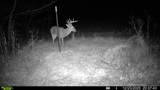 394 Young Hollow Rd - Photo 61