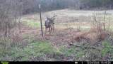 394 Young Hollow Rd - Photo 62