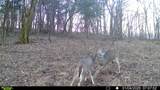 394 Young Hollow Rd - Photo 63