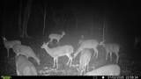 394 Young Hollow Rd - Photo 64