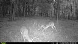 394 Young Hollow Rd - Photo 65